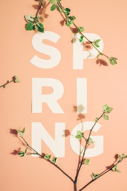 Фото Креативная надпись весна и цветущие ветки