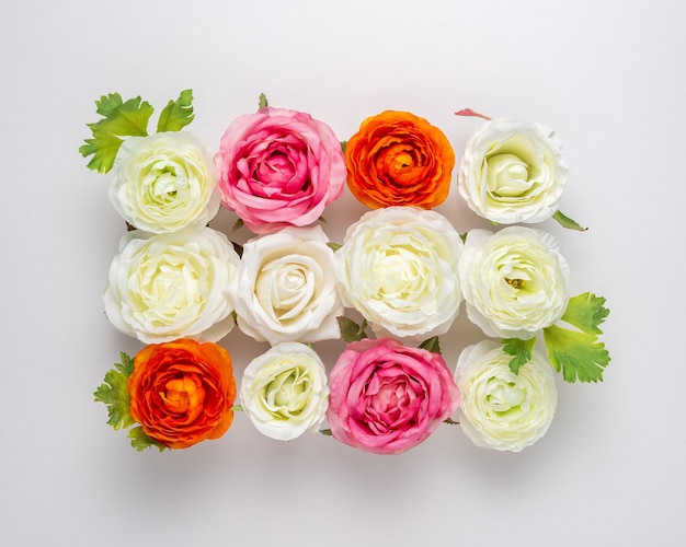 Creative layout of beautiful rose flowers on white.