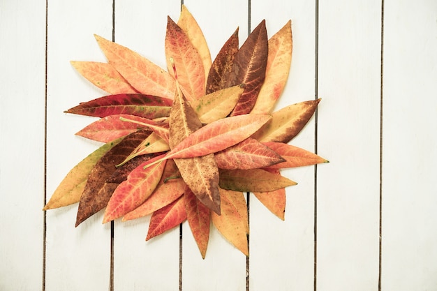 Creative layout of colorful autumn leaves. Flat lay on white wooden background.