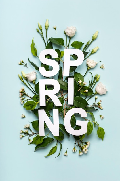 파스텔 파란색 배경에 종이 단어 Spring, 녹색 잎 및 꽃 봉오리의 창의적인 레이아웃입니다. 자연 시즌 개념입니다.