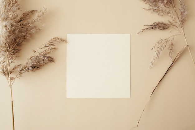 Creative layout made of dry pampas grass reeds agains and paper card note on beige background. Minimal, stylish, trend concept. Flat lay, top view, copy space. Trend color 2021.