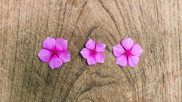 Creative layout made of purple flowers on wooden