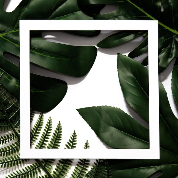 Creative layout made of tropical leaves with empty white paper frame.