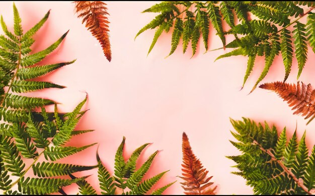 Photo creative layout made of various tropica palm and fern leaves on pastel pink background