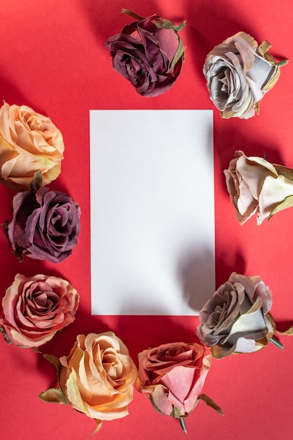 Photo creative layout made with beautiful flowers on red background