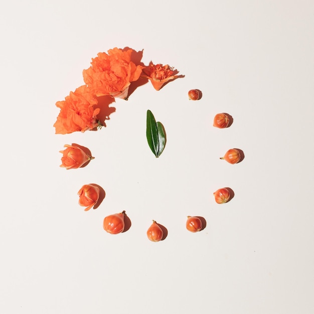 Creative layout made with pomegranate flowers on bright background Flat lay Minimal time concept