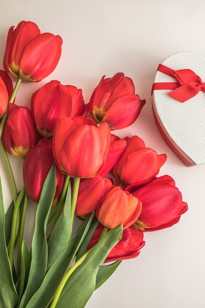 Фото Креативный макет с цветами тюльпана на ярко-белой поверхности