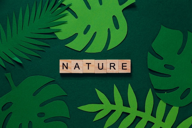 Creative layout of tropical leaves with "Nature" inscription. View from above. Nature concept.