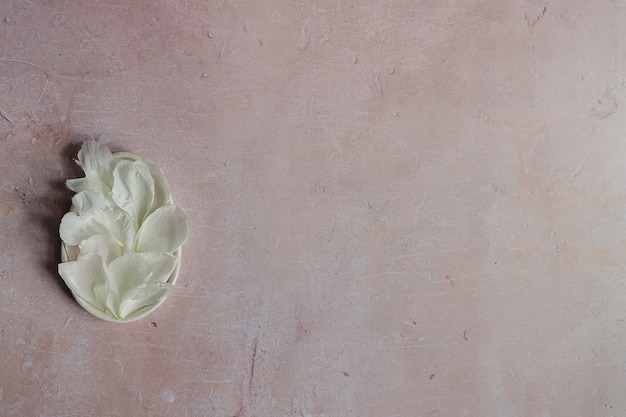 Creative mockup composition of white peony flower petals on a pink aged concrete background.