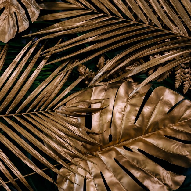 Creative nature background Gold and green tropical Monstera and palm leaves