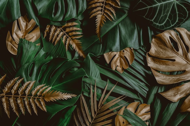 Creative nature background Gold and green tropical Monstera and palm leaves