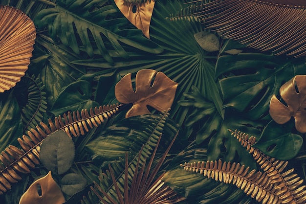 Creative nature background with golden and green tropical palm\
leaves minimal summer abstract fores