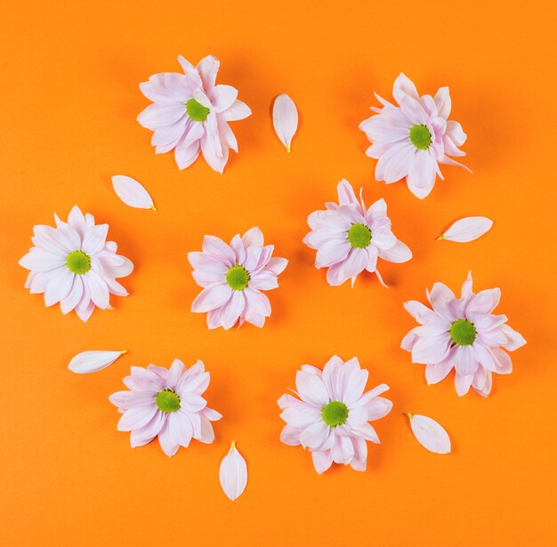 Foto modello creativo con fiori di primavera su uno sfondo arancione.