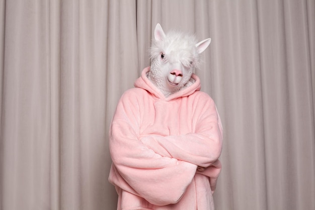 Premium Photo Creative person in pink hoodie with lama head against studio wall background