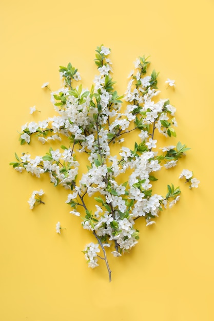 Creative spring bouquet of white blossom branches on punchy yellow. Floral. Flat lay.