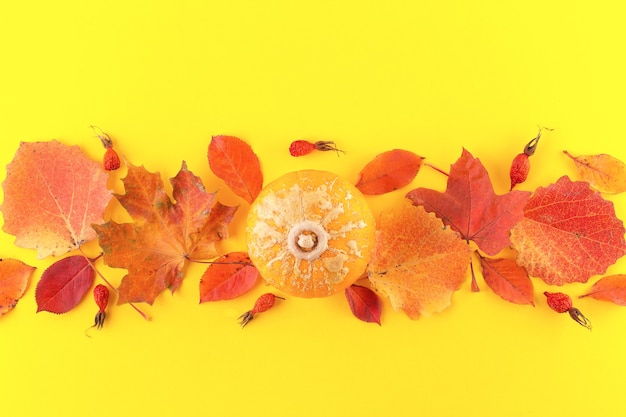 Creative Top view flat lay autumn concept composition on yellow background. Fall season banner template. Concept of the fall. Autumn background with colorful fall leaves, copy space