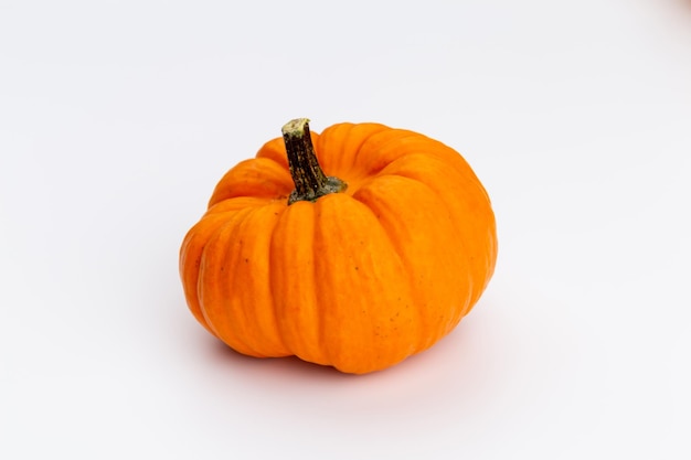 Creative Top view flat lay pumkin composition