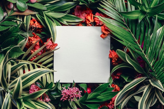 Layout tropicale creativo di foglie e fiori con una nota quadrata concetto naturale