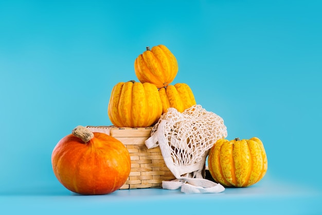 Creative vegetable fall food conceptvarious varieties of pumpkins in a basket on a blue background p