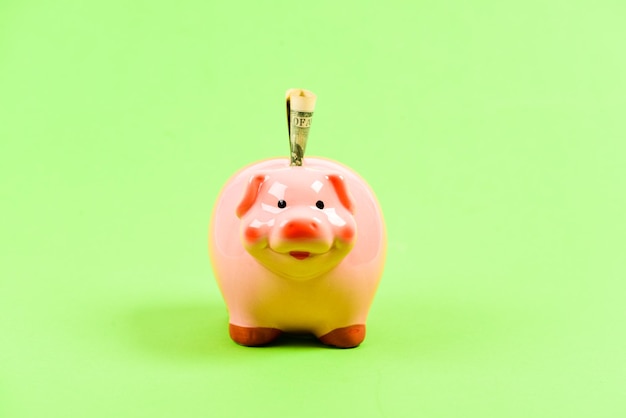 Photo credit concept money saving banking account earn money salary money budget planning financial wellbeing economics and finance piggy bank pink pig stuffed dollar banknote cash save money