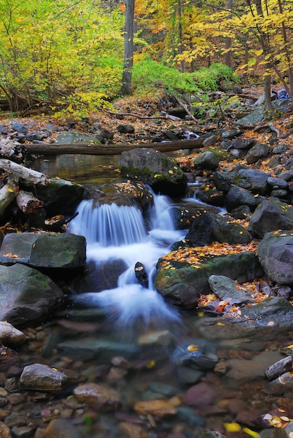 Creek closeup