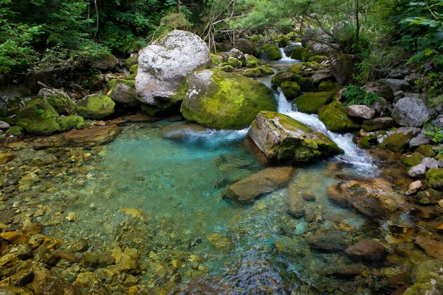 Creek in Valle Pesio