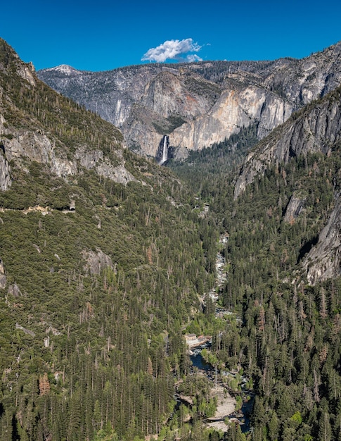 Creek in the Yosemite Valley