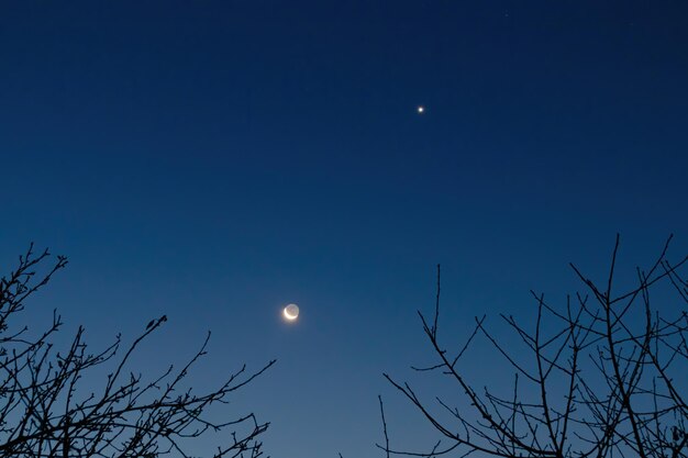 Foto luna crescente e stella nel cielo mattutino sopra i rami degli alberi senza foglie