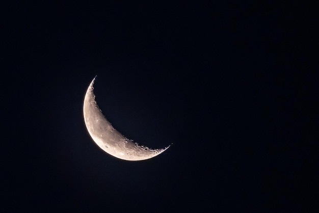 写真 夜の晴天にクレーターの山と月の海が見える三日月