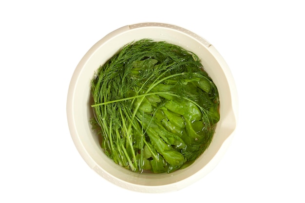 Cress and dill in the bucket