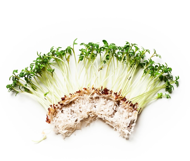 Cress salad