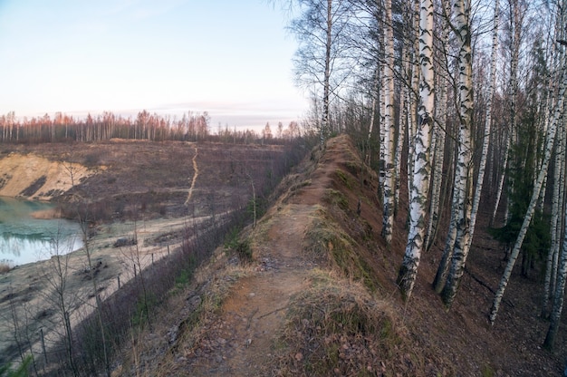 On the crest of the hill there is a path among the trees on the Bank of a sand quarry.