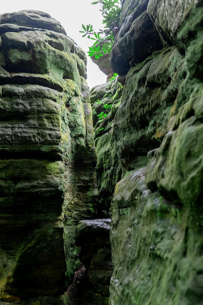 A crevice between rocks