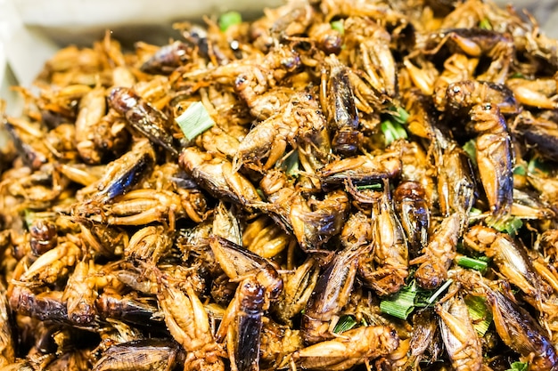 크리켓의 튀김 또는 튀김 곤충은 태국 음식입니다.