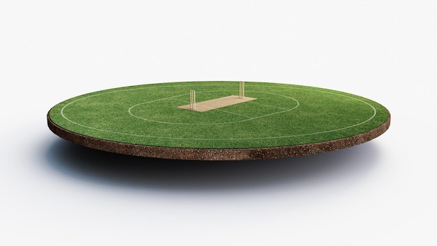 Cricket Stadium Vooraanzicht op cricket pitch gras stadion grond Outfield 3D illustratie