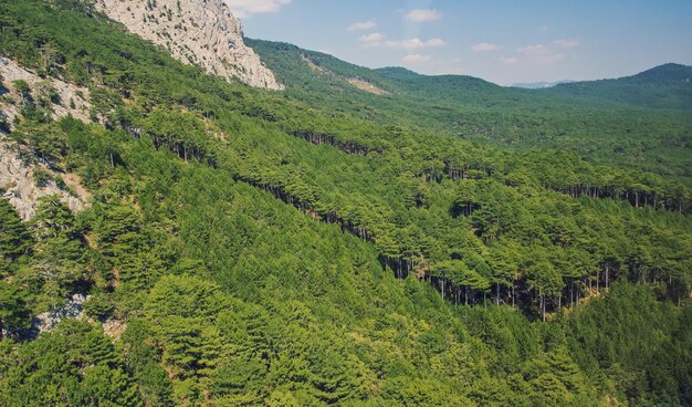 Catena montuosa della crimea aipetri