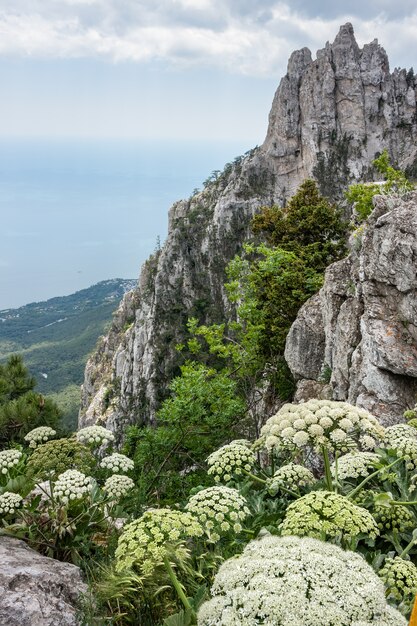 Crimea mountains