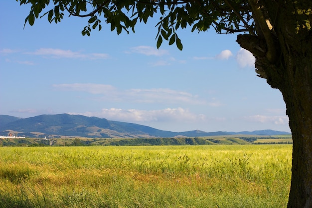 Crimean mountains