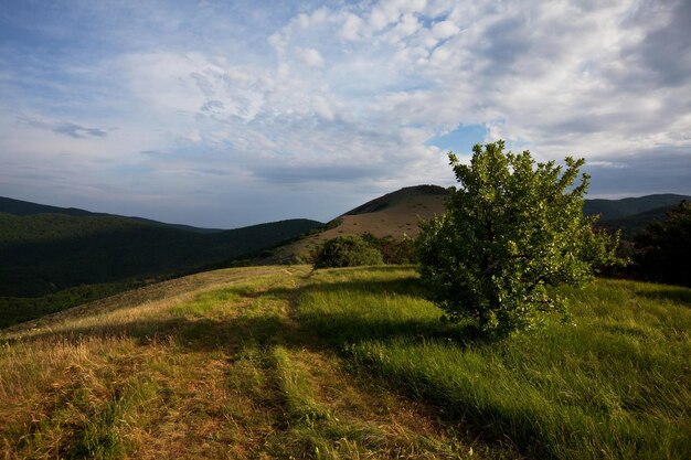 Crimean mountains