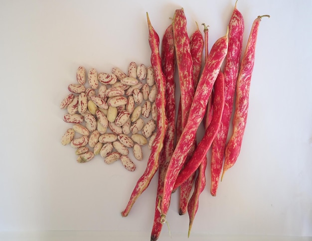 crimson beans legumes vegetables food