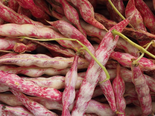 Crimson beans legumes vegetables food