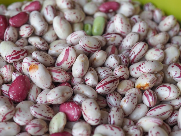 Crimson beans legumes vegetables