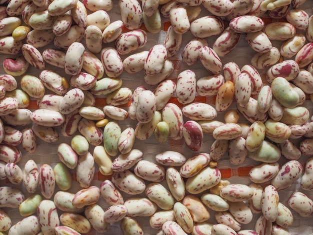 Crimson beans vegetables background