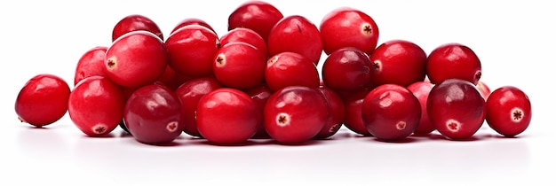 Crimson Cranberry Beauty