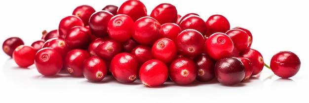 Crimson Cranberry Beauty