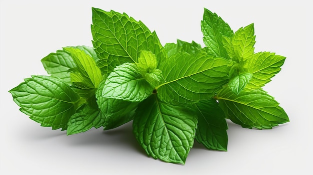 Photo crisp elegance fresh mint leaves isolated on transparent background