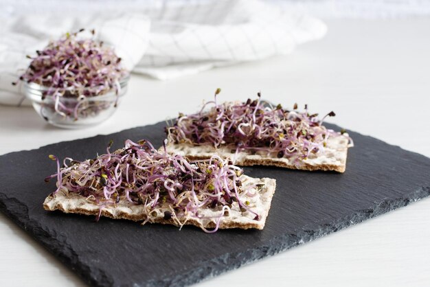 Crispbread with red cabbage sprouts on black board Sprouted seeds Detoxification