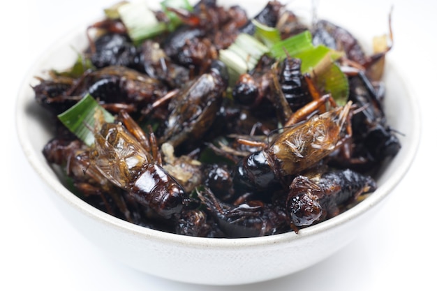 Crispy fried insects on white bowl