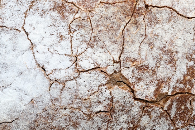 Crispy rustic homemade bread texture. Close-up of whole rye bread. Copy space.