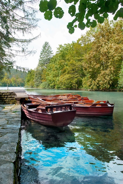 Foto croazia laghi di plitvice